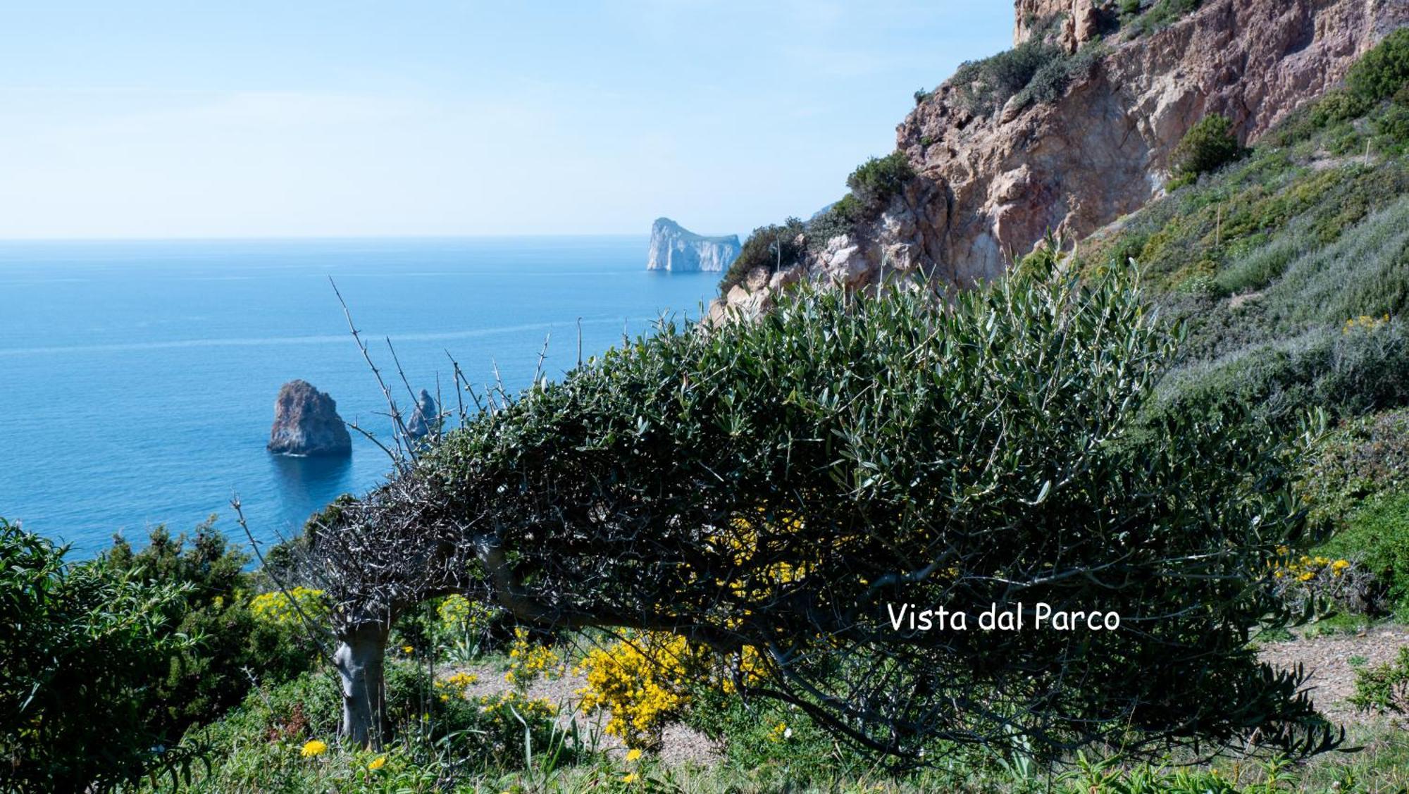 Villa Il Dolce Risveglio Tanca Piras à Nebida Extérieur photo